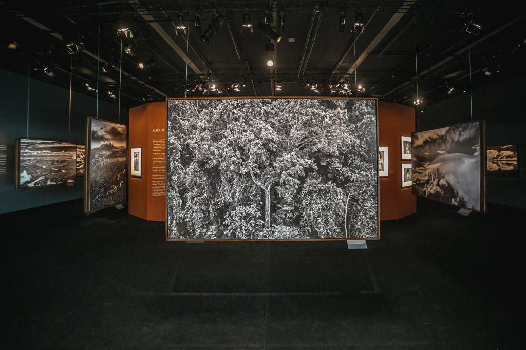 2022-07-23 – Amazonia sala vazia (Albert Andrade) (2) Sebastião Salgado