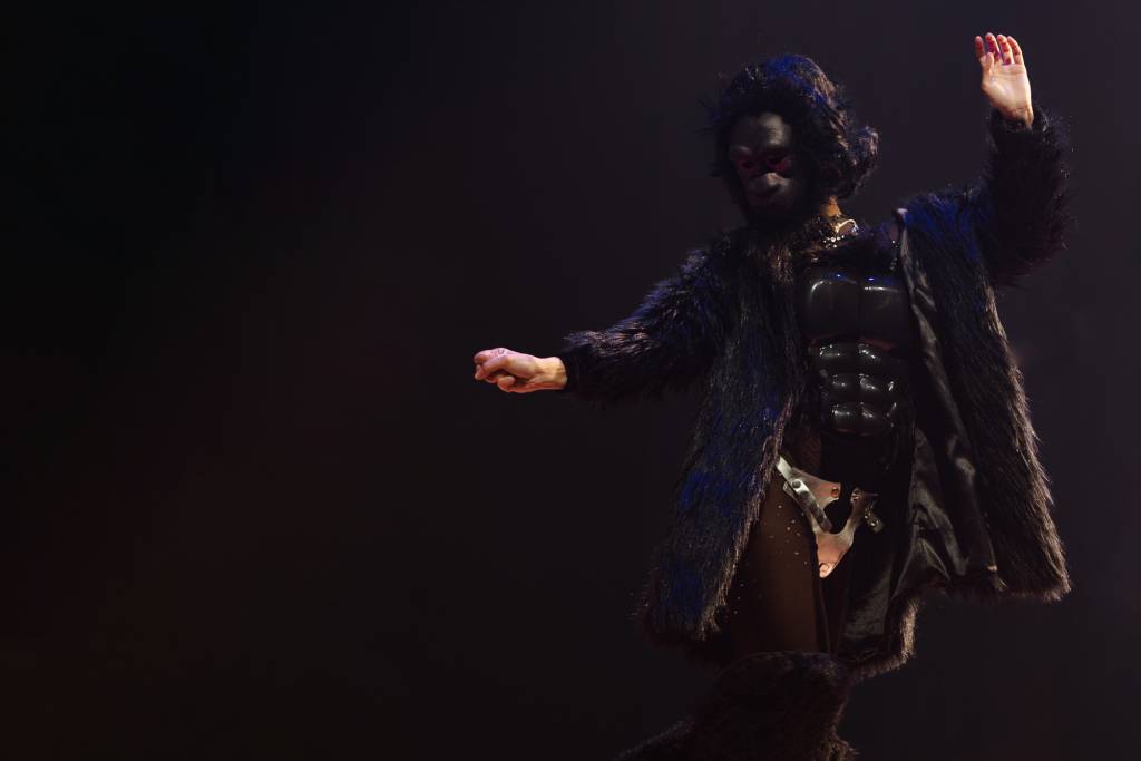 A vingança invertida da mulher gorila