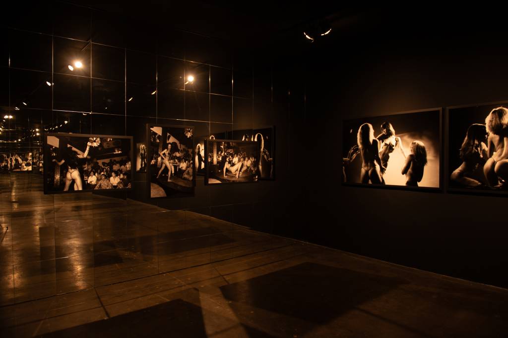 bienal-18 Exposição, Rosa Gauditano.