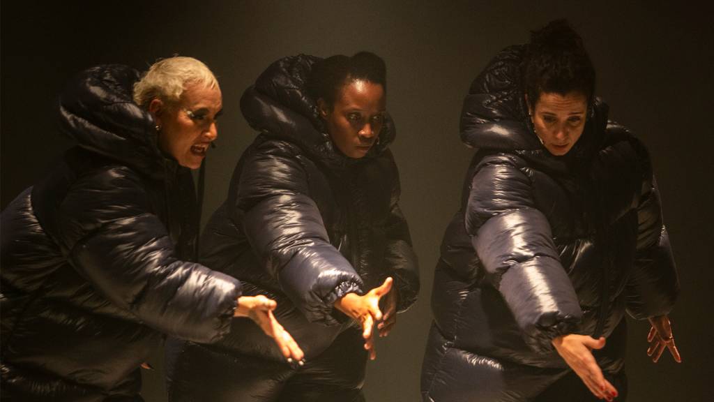 teoria-king-kong-2 elenco-de-teoria-king-kng-no-palco.
