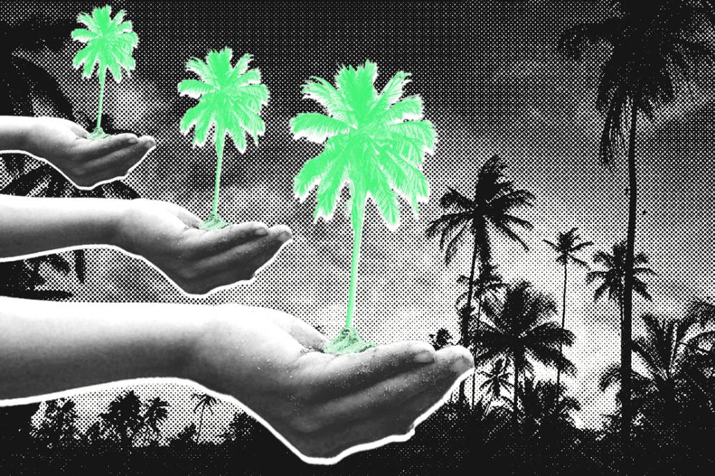 Uma árvore pra cada meme