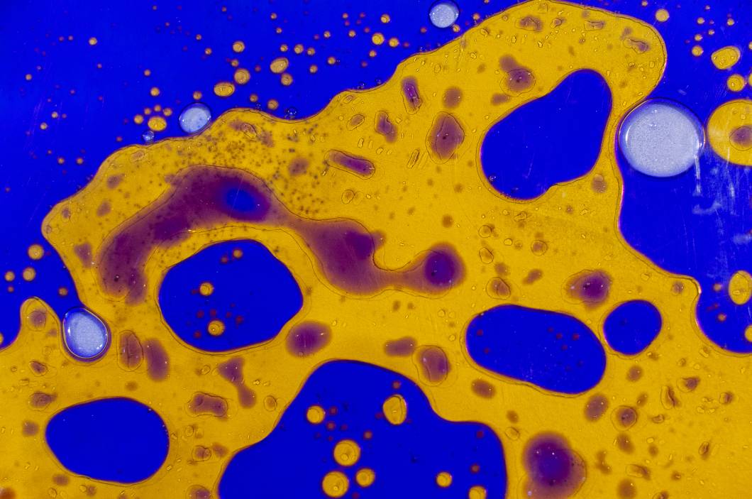 Detalhe - Disco Tátil Detalhe - Disco Tátil