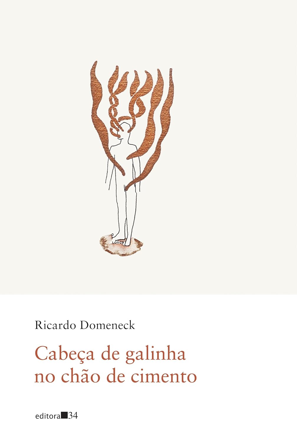 cabeca-galinha-chao-cimento-jabuti-poesia-editora-34