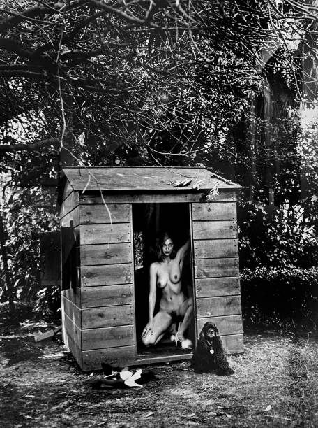 Helmut Newton, Domestic Nudes