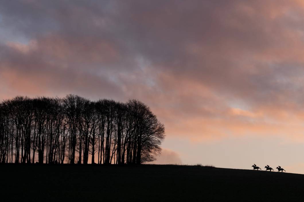 Categoria hipismo-ouro - Winter in Lambourn Categoria hipismo-ouro - Winter in Lambourn