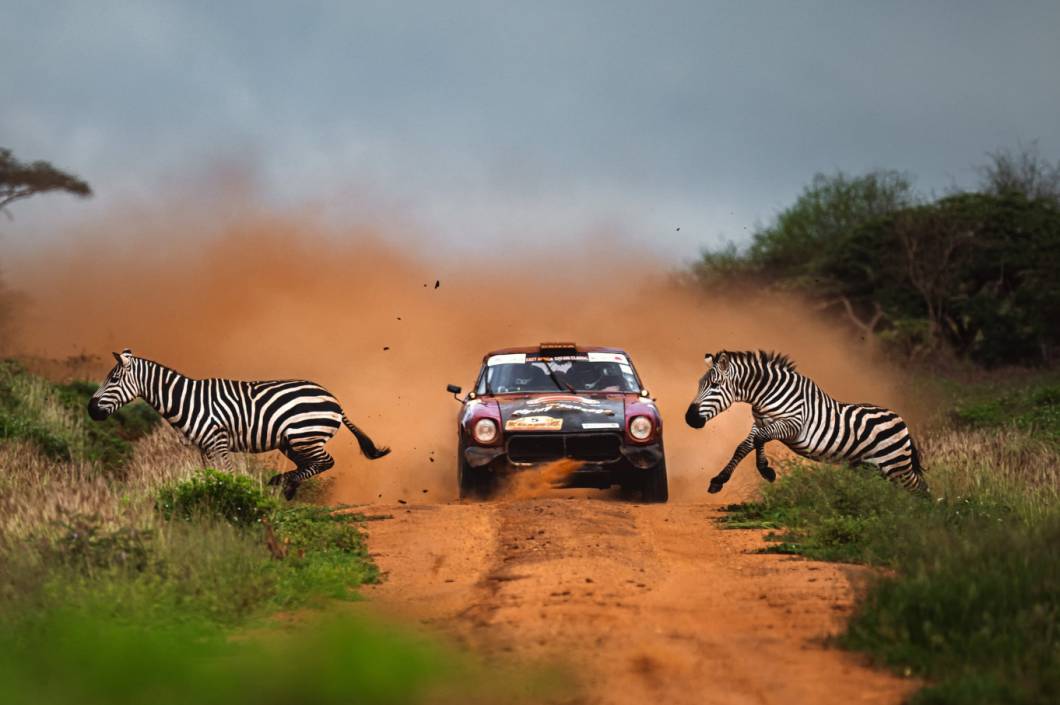 Categoria autoesportes - ouro - Zebra Crossing. Categoria autoesportes - ouro - Zebra Crossing.
