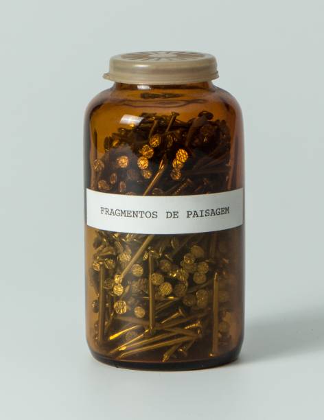 Fragmentos de paisagem (1974) de Carlos Zilio