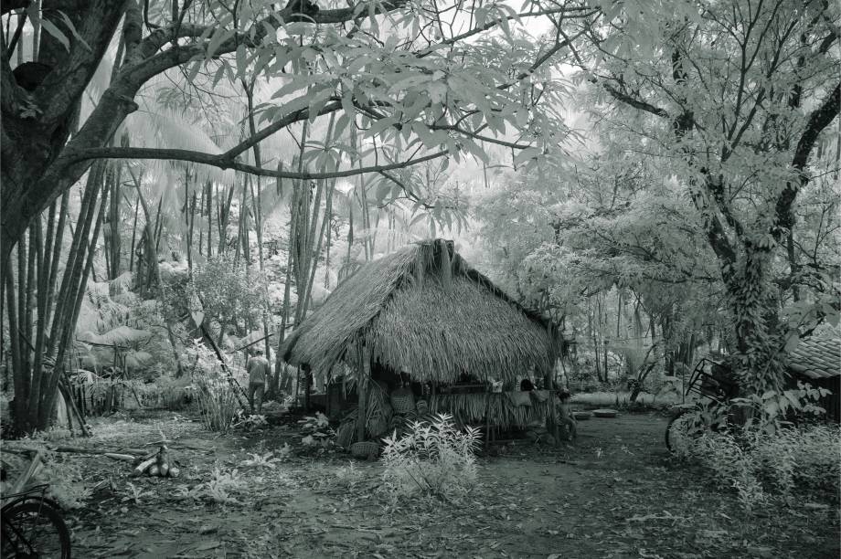 Casa de farinha, 2019