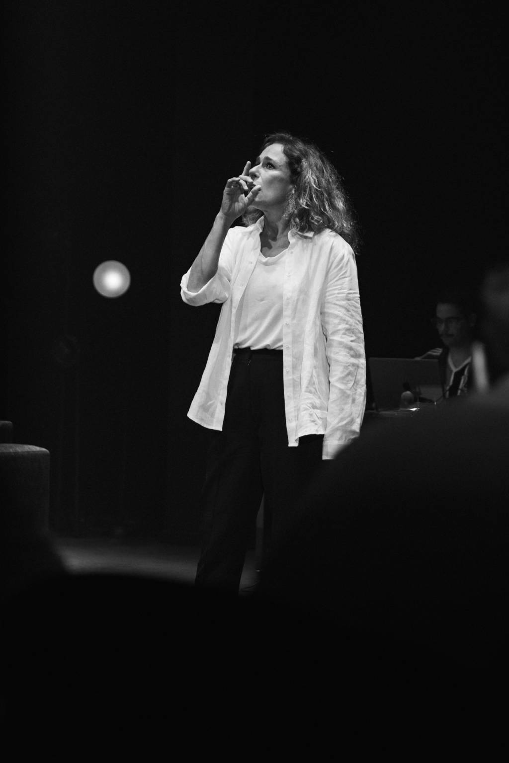 Cópia de GilTuchternhagen teatro-sesc-andrea-beltrao-lady-tempestade
