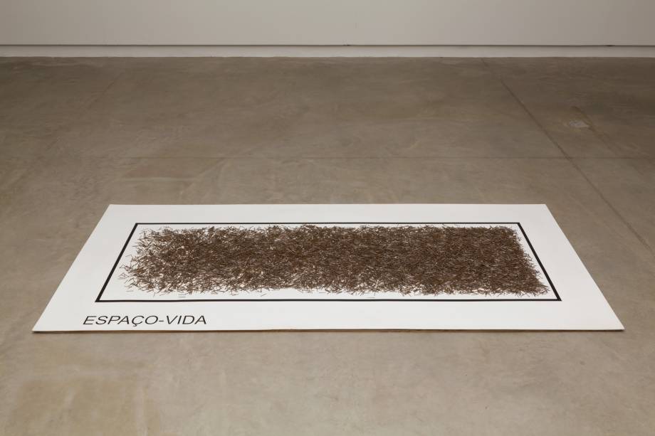 Carlos Zílio Espaço vida (1974)vinil sobre aglomerado e pregos122 x 275 cm (suporte) Carlos Zílio Espaço vida (1974)vinil sobre aglomerado e pregos122 x 275 cm (suporte)