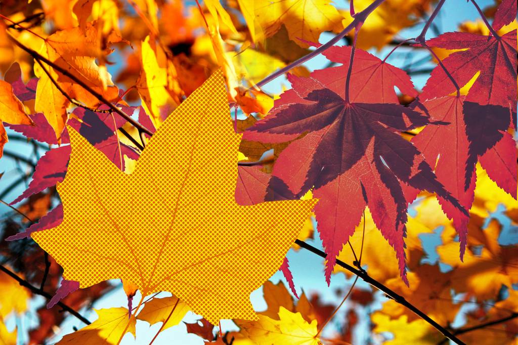 Luana Carvalho: O vento que venta lá