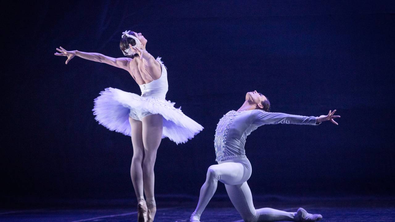 vitor-caixeta-ballet-theatro-municipal-rio-janeiro-lago-cisnes