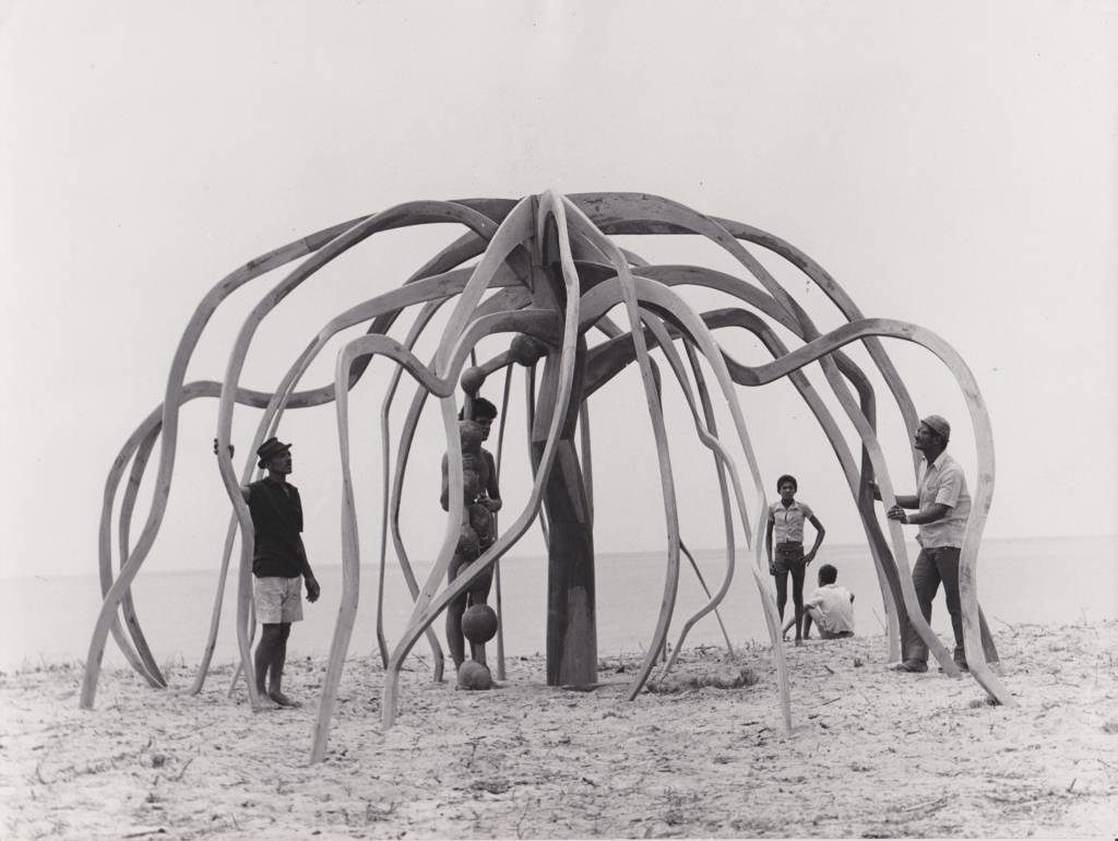 Cópia de Frans Krajcberg, A flor do mangue, circa 1970. IPAC frans-krajcberg-inventar-arvore-masp-exposicao