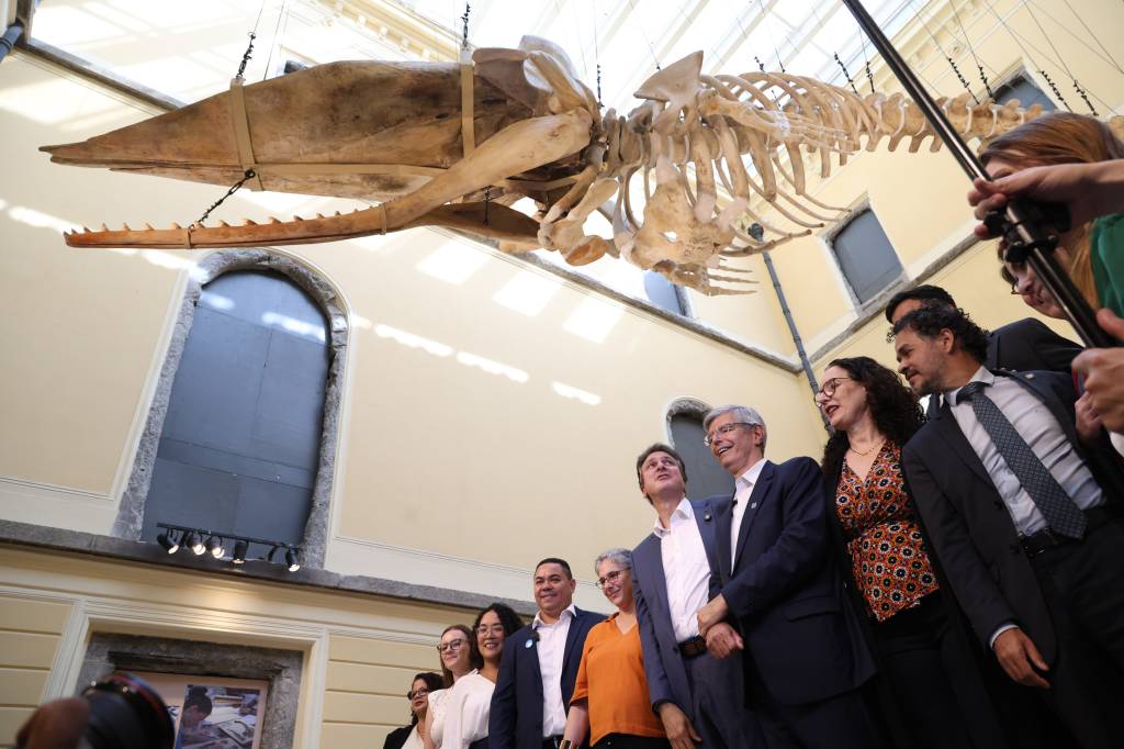 museu nacional reabertura museu-nacional-reabertura-incendio-rio-de-janeiro-mostra-dinossauro