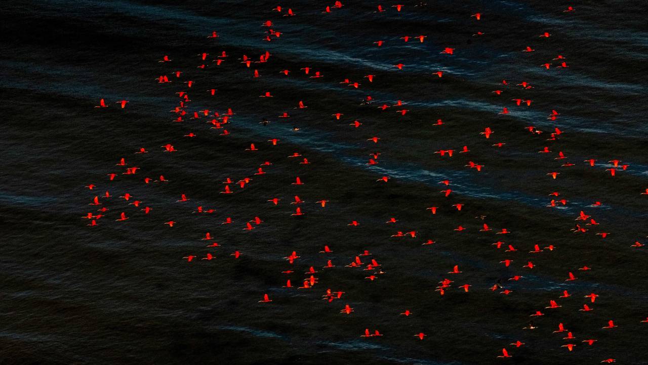 joao-farkas-exposicao-franca-fotografia-aerea-brasil-paisagem