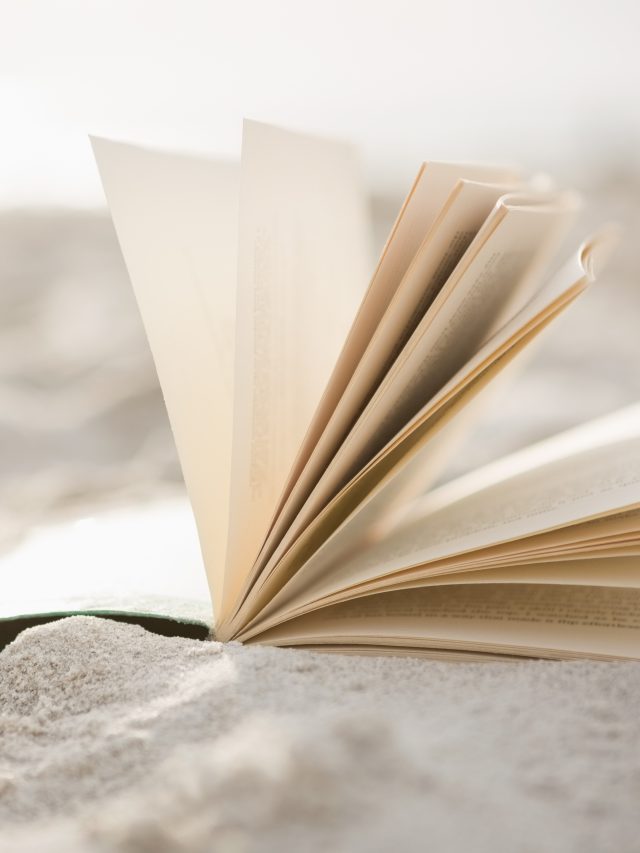 livro praia viagem